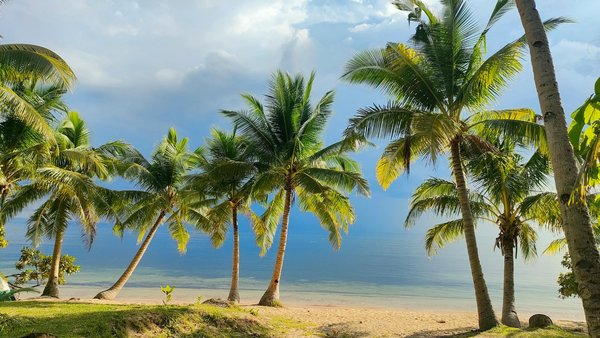 Welke cruisebestemmingen zijn het meest populair?