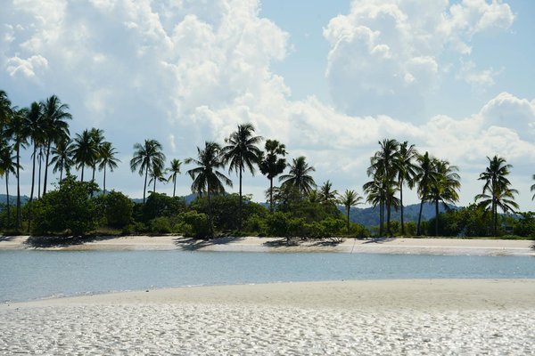 Hoe verandert technologie de reiservaring?